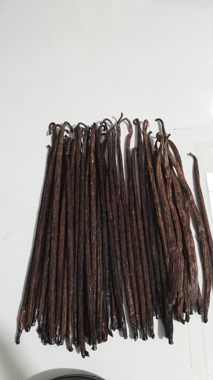 Grade C / Extraction — Indonesian vanilla