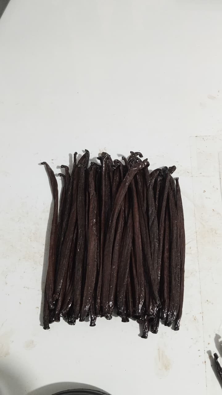 Tahitensis Grade A — Indonesian vanilla